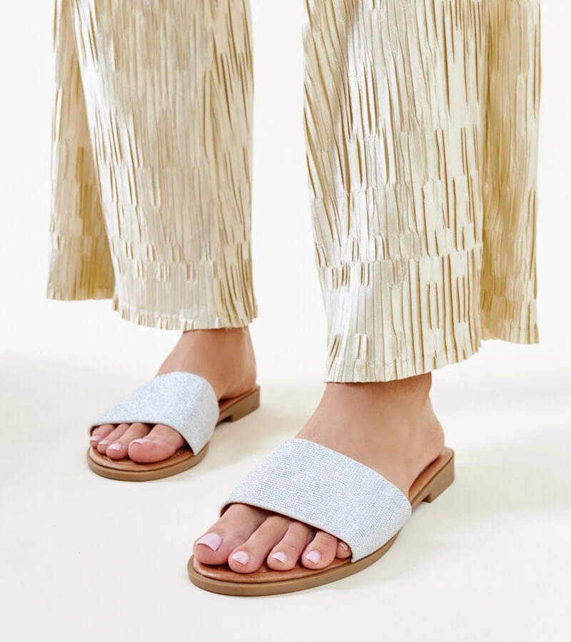 Papuci strălucitori de argint ai lui Anil