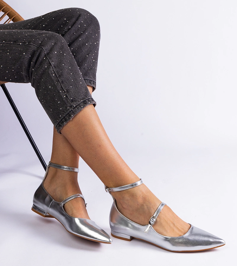 Pantofi argintii cu toc jos și catarame Ewerida